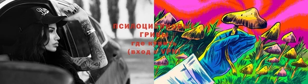 а пвп мука Богородицк
