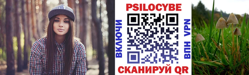 Псилоцибиновые грибы ЛСД  Купить где  Гудермес 
